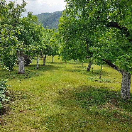 Gasthaus Aleksa Cetinje Exterior foto