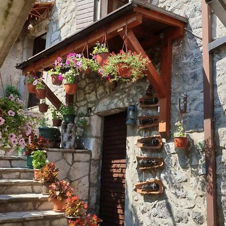 Gasthaus Aleksa Cetinje Exterior foto