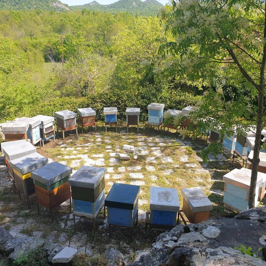 Gasthaus Aleksa Cetinje Exterior foto